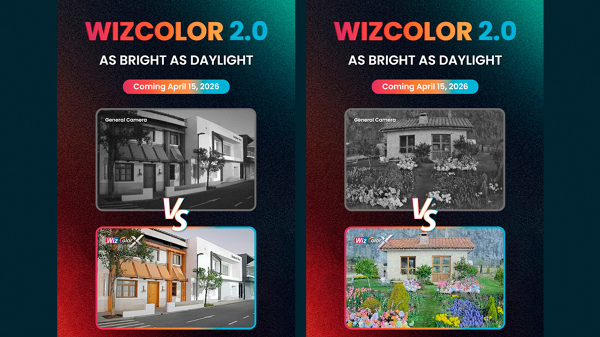 wizz color